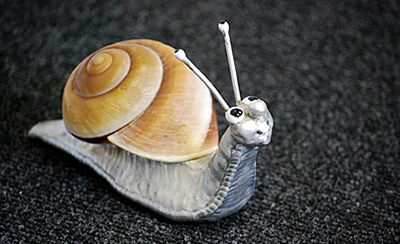 Snail 1