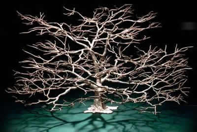 Winter Oak